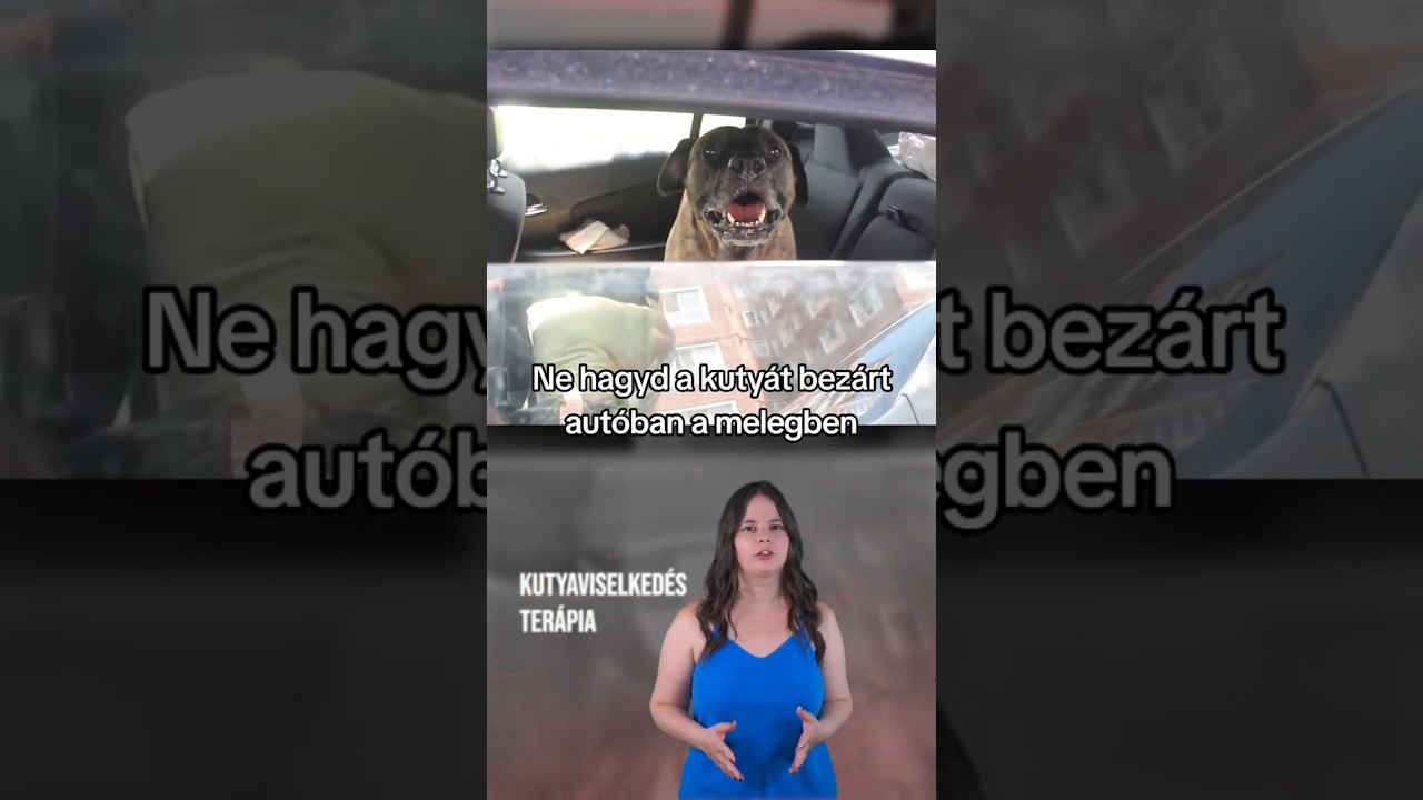 YouTube player