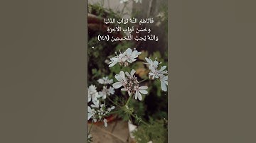 سورة آل عمران الآية ١٤٧ الى ١٥٠ بصوت الشيخ ياسر الدوسري