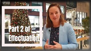 Affordable Loss and Pilot in the Plane - Effectuation Pricipals explained
