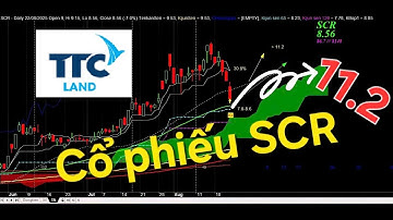 TOP #1 Cổ Phiếu SCR Tăng Giá 30.8% Có Dòng Tiền Đầu Tư Chứng Khoán !
