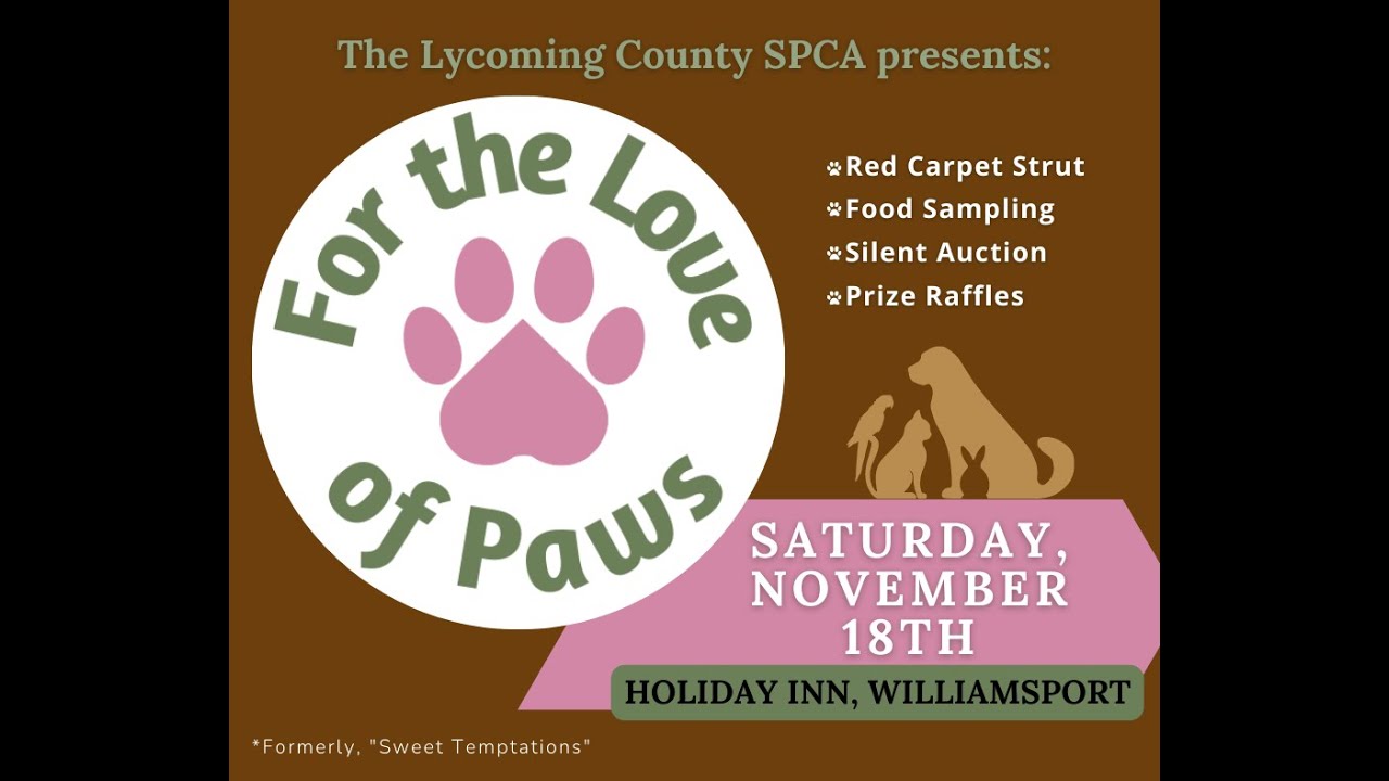 For the love of paws 2023 YouTube