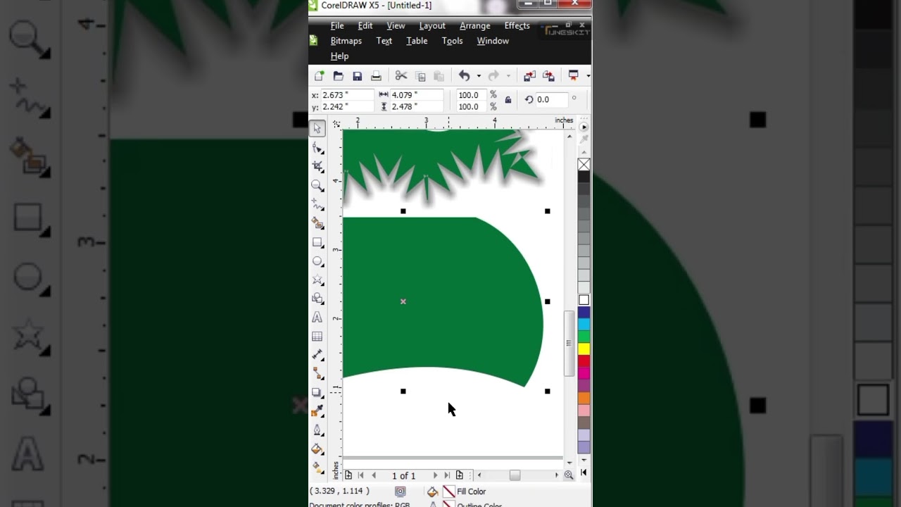 Flag design Pakistani flag unique style 