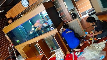 Men พี่โส่ย 4 - ล้างตู้ปลาประจำรอบ 4 เดือน + เปลี่ยนงานท่อจากสีฟ้าเป็นสีขาว Set 2