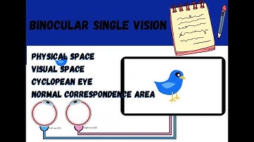 Physical Space, Visual Space, Cyclopean Eye & Normal Retinal Correspondence