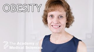 Obesity, diet and health research | Professor Susan Jebb OBE FMedSci