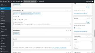 Free Download Appyn 2.0.4 ThemesPixel Work Without Apikey
