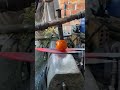 Look at the process of cutting a hole in a pork knife #bleckmith #cutting #anvil #metalwork