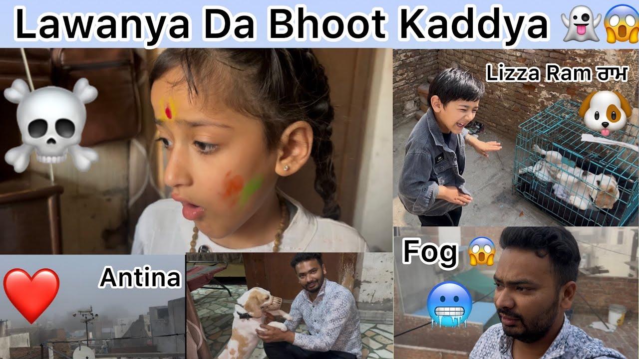 Lawanya cho bhoot Kaddya | Manit Wlcome | Daily vlog 