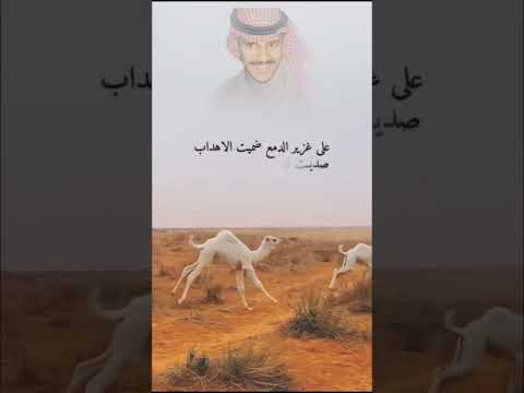 عشق بدوي لاحب ماهو بكذاب