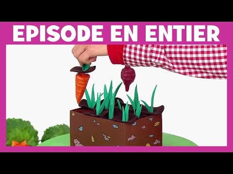 Vidéo: Mémo Au Jardinier