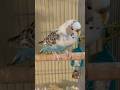 She Looks Tired рџ ђ She Looks Tired рџ ђ