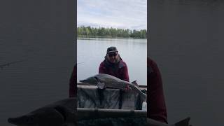 Відпочив на водоймі Баунті. Нічна температура +3 дала змогу виспатись) #carpfishing #риболовля