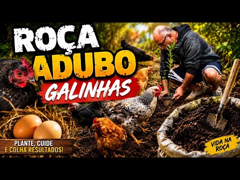 Vida na Roça : impressionante o que aconteceu com as frutíferas após adubação