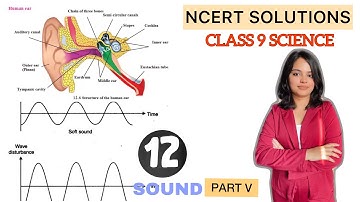 NCERT Solutions Class 9 Science Chapter 12: Sound