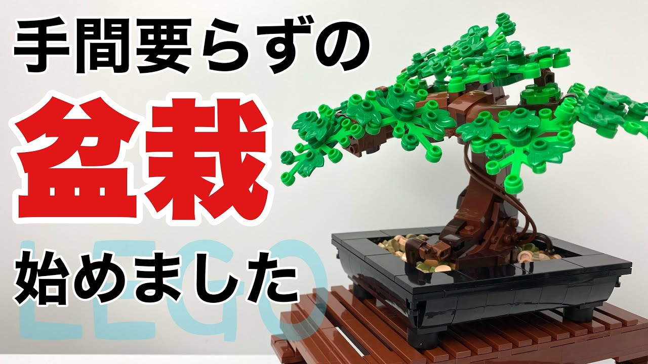 LEGO】Botanical Collection BONSAI TREEを組み立てる - YouTube