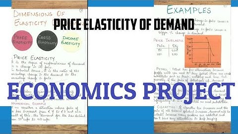 Project on price elasticity of demand| elasticity project economics| elasticity of demand and supply