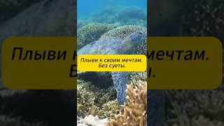Залипай и зарабатывай #работаонлайн #онлайнзаработок #удаленнаяработа  #работадома #доходонлайн