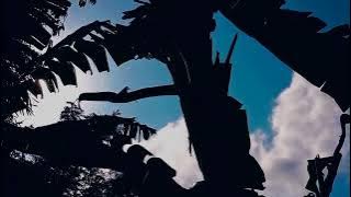 Buat story wa|30detik Cinematic alam|Trend sound tiktok viral|HD1080P🎥