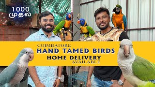 ₹1000 ரூபாய் முதல் Hand Tamed Birds for Sale | Exotic Birds | Home Delivery Available