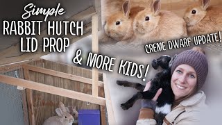 Simple DIY RABBIT Hutch Lid Prop - Assisting a GOAT birth!! - Creme Dwarf Kits Update