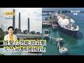 【矢板明夫Newtalk】台灣天然氣只夠撐12天 面對台海風險 立委林岱樺主張「國運國管」、「不要交給卡達的船長決定是否運來台灣」！