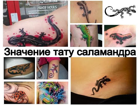 Значение тату саламандра - информация и фото примеры рисунков для сайта tattoo-photo.ru