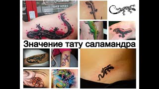 Значение тату саламандра - информация и фото примеры рисунков для сайта tattoo-photo.ru Значение тату саламандра - информация и фото примеры рисунков для сайта tattoo-photo.ru