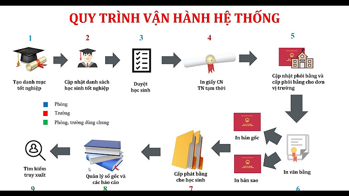 Báo cáo kết quả rà soát văn bằng chứng chỉ