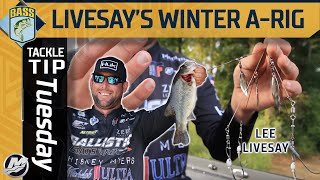 Lee Livesay's NUMBER ONE lure for WINTER bass fishing