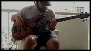 Scar Tissue | RHCP | Bass Cover