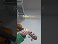 Golden Brown #Violin Cover#youtubeshorts#ytshorts#short#shorts#youtube#yt#trending#video#music#dance