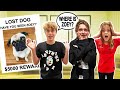 I Lost Gavin Magnus's Dog ft. Sophie Fergi | Sarah Dorothy Little