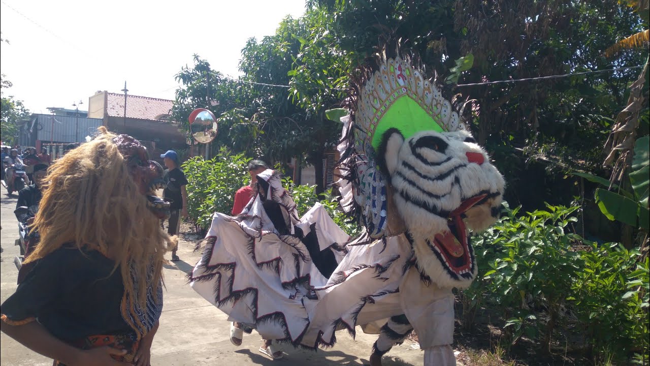 Karnaval haflah akhir sanah madin tarbiyatul wildan bomo bumiharjo guntur 2026