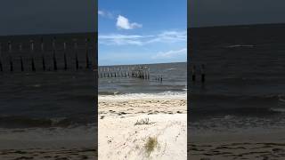 Exploring Florida’s Forgotten Coast 🌊 | Hidden Paradise in 2 Minutes