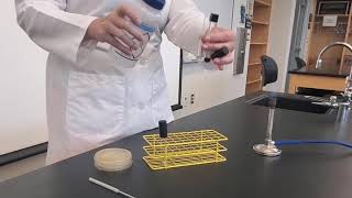 Lab 5-18: Urease Test