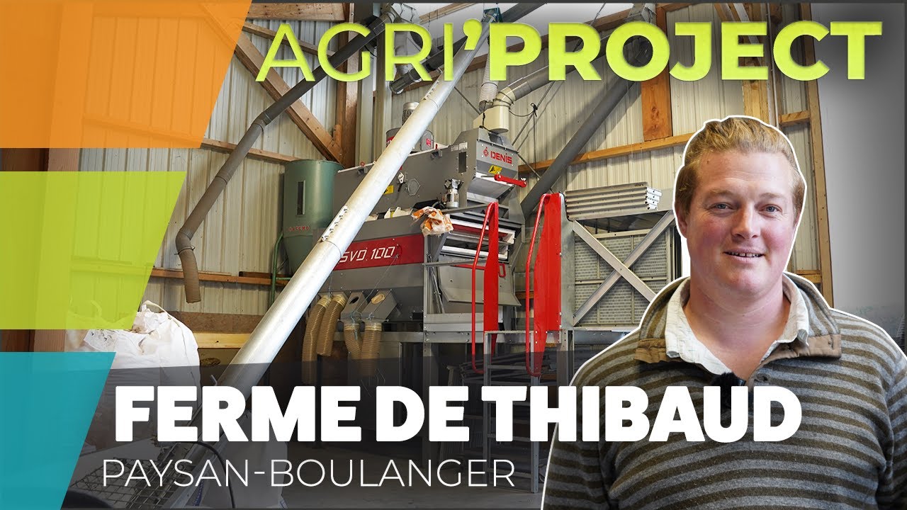 La ferme de Thibaud, paysan boulanger dans le Maine-et-Loire #agriproject