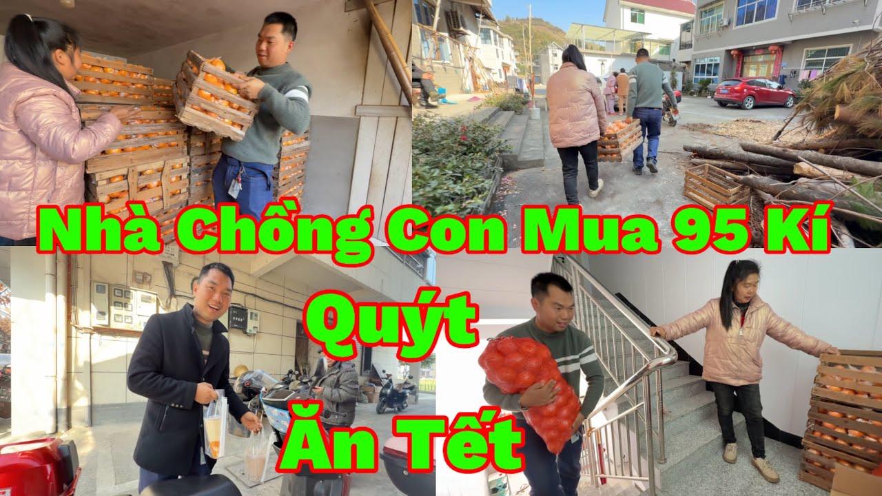 232🇨🇳🇻🇳 Mẹ Và Chồng Trung Quốc Mua 95 Kí Quýt Chuẩn Bị Ăn Tết Là Có Thiệt,Mua Cả Triệu Tiền Quýt 