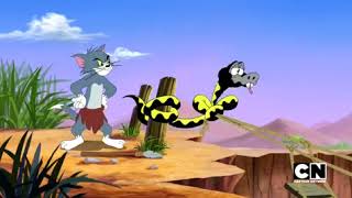 Мульт Tom and Jerry Tales S02 Ep04 Zent Out of Shape Screen 10