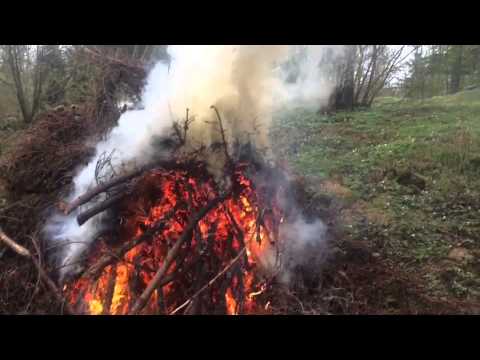 Little Fire