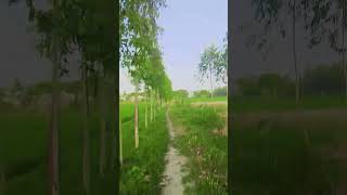 tauba tauba ye Aankhen kahati hai sau sau baatein#new#rail#trending#bast#hashtag#viralvideo#