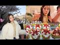 Living in Japan | shopping in tokyo, lots of good food, celebrating my birthday 🍰