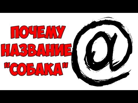 Видео: Что символизирует собачка фу?