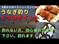 【うなぎ釣り　釣り方】徹底解説　釣れない方は試してみて下さい！！　(#37)