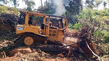New land clearing using CATERPILLAR BULLDOZER D6R XL for oil palm plantations