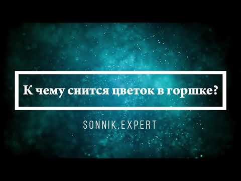 К чему снится цветок в горшке - Онлайн Сонник Эксперт