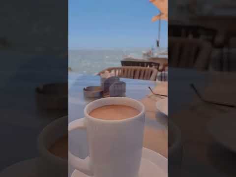 بحب بلدي