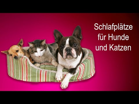 Welcher Schlafplatz für Hund & Katze? Tipps von Claudia Ludwig!