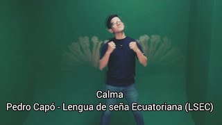 Calma-Pedro Capó - Cover en Lengua de seña Ecuatoriana (LSEC)