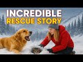 Unbelievable Animal Rescue 🐕❄️ Kitten Saved from Snow Disaster