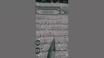 سورة الملك ✨️🤲❤️  الشيخ علاء عقل